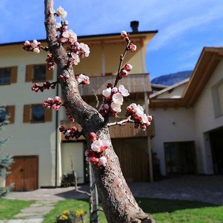 Apartament Ferienhof Weingenuss Cortina Sulla Strada del Vino Zewnętrze zdjęcie