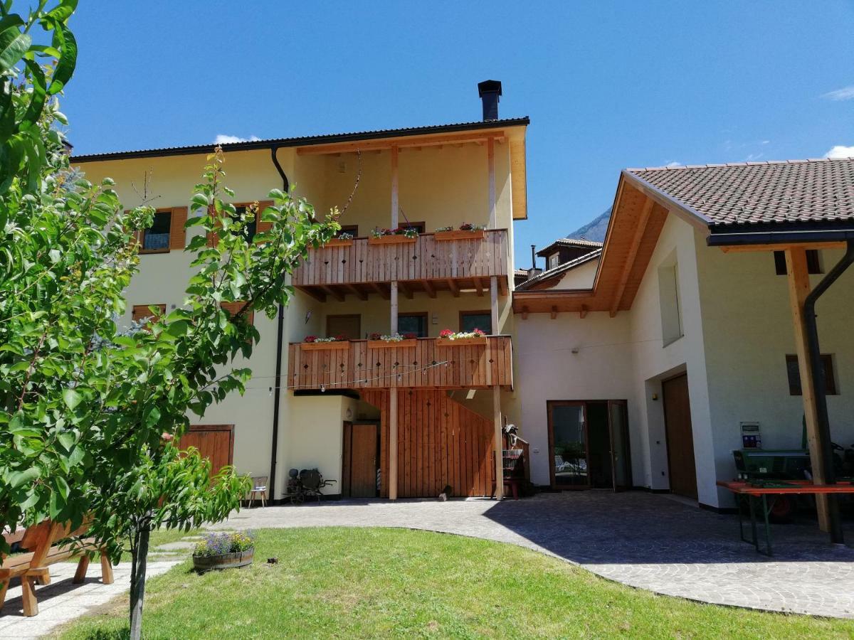 Apartament Ferienhof Weingenuss Cortina Sulla Strada del Vino Zewnętrze zdjęcie