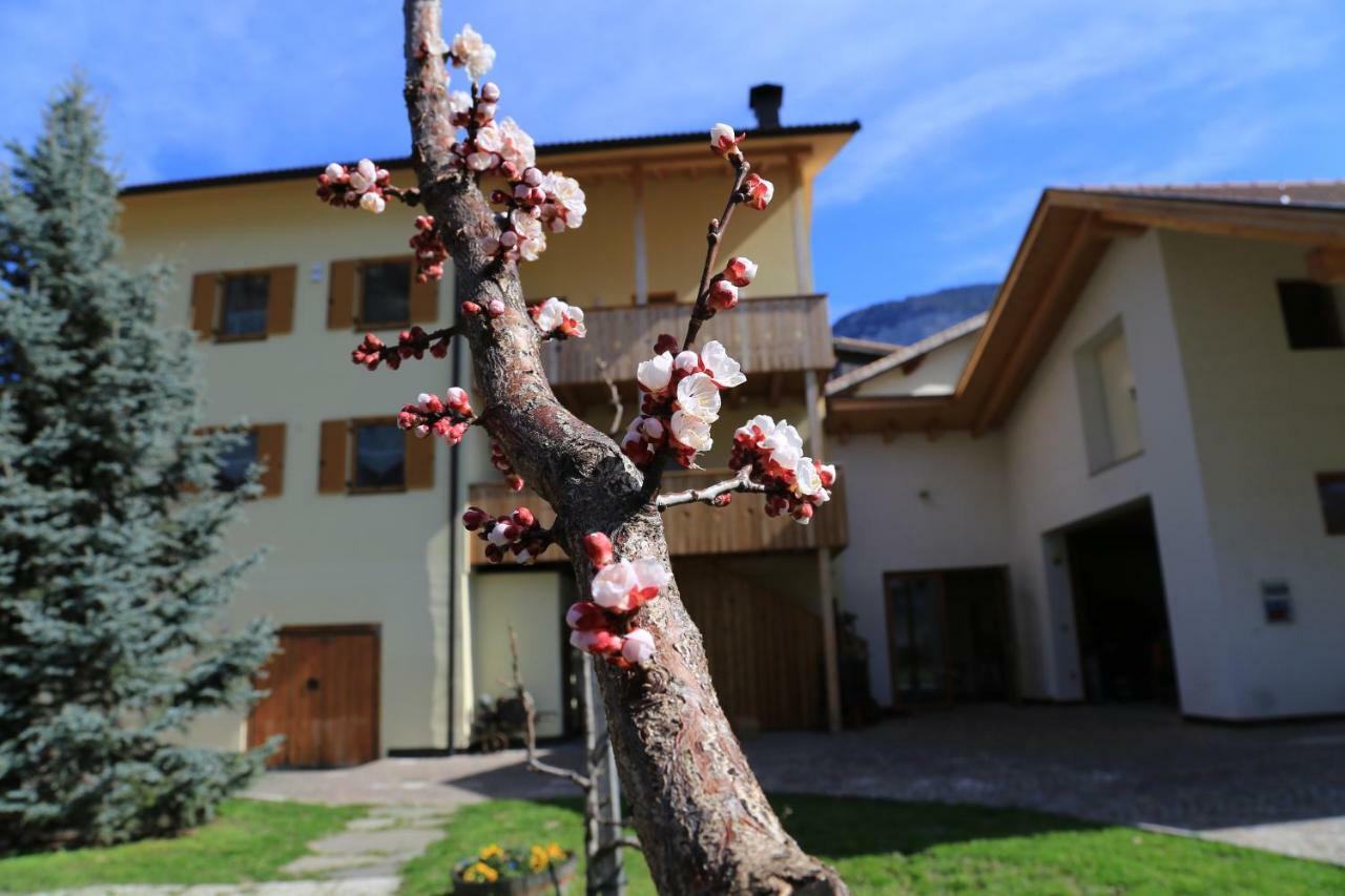 Apartament Ferienhof Weingenuss Cortina Sulla Strada del Vino Zewnętrze zdjęcie